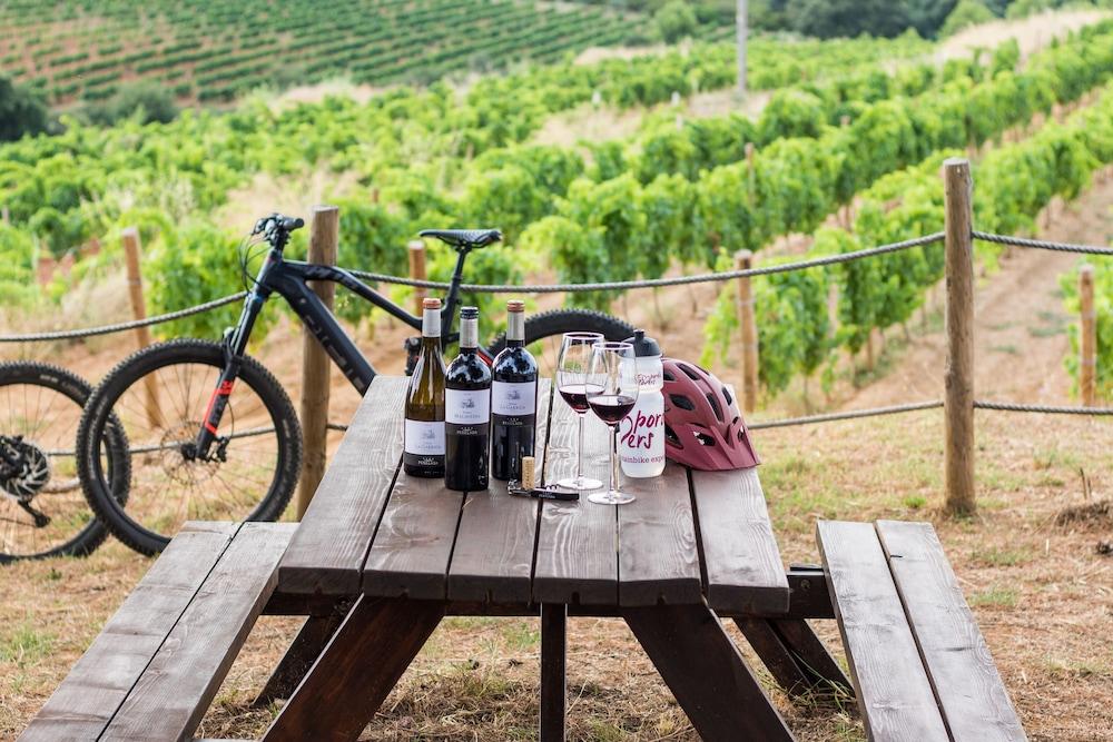 Wine & Golf Peralada